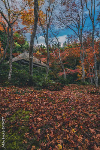京都 祇王寺の紅葉と秋の景色 Stock Photo Adobe Stock 京都 祇王寺の紅葉と秋の景色 Stock Photo Adobe Stock