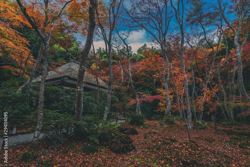 京都 祇王寺の紅葉と秋景色 Stock Photo Adobe Stock 京都 祇王寺の紅葉と秋景色 Stock Photo Adobe Stock