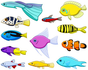 Wall Mural - Set of twelve different colored tropical fishes