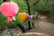 Lanterns along a path in forest. Lanters celebrating 
