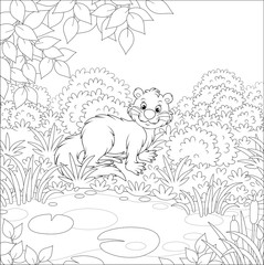 Wall Mural - River otter in grass by a small lake in a wild forest on a summer day, black and white vector illustration in a cartoon style for a coloring book