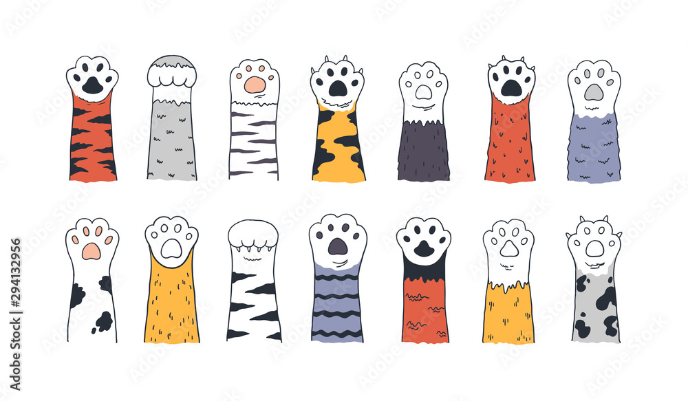 Download Cat Paws Doodle Animal Foot Cute Cartoon Kitten And Puppy Paws Wild And Domestic Animals Foots Vector Drawing Kitty And Dog Different Breed Pet Set On White Background Wall Mural Spicytruffel