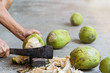 canvas print picture - Green fresh coconut peeling and shelling with heavy chop knife for juice.