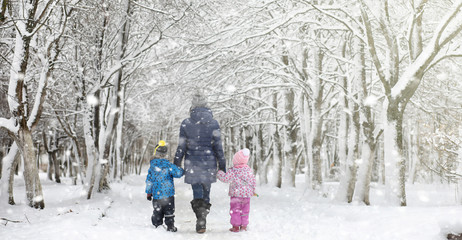 Sticker - Winter park under the snow. A snowstorm in the city park. Park for walks with the whole family under the snow cover.