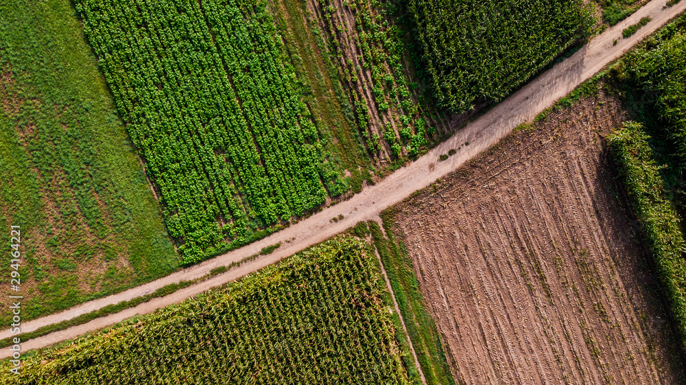 Countryside Road Between Farmland Fields. Aerial Drone Top Down View - obrazy, fototapety, plakaty 