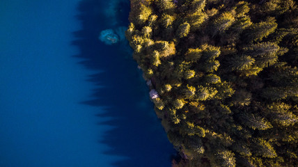 Wall Mural - Forest Edge Over Lake. Top Down Drone Aerial Image. Vibrant Autumn Colors