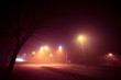 © luchschenF - Fog at the crossroads in the night city