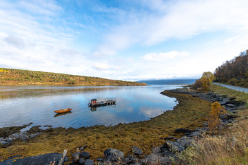 Wall Mural - North sea coast in autumn. Norway. Troms