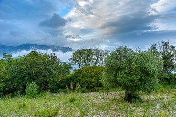 Wall Mural - Beautyful cloudy landscape in the mountains near Scauri, Italy