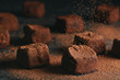 Truffle  sprinkled with cocoa.  Dark chocolate candies in cocoa powder on a dark brown background