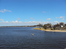 Southern Shore Of Swan River