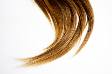 Wall Mural - long brown straight hair on white isolated background