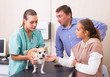 © JackF - Female veterinarian examining puppy in clinic in presence of worried man and preteen girl