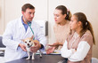 © JackF - Concerned family with dog consulting by veterinarian