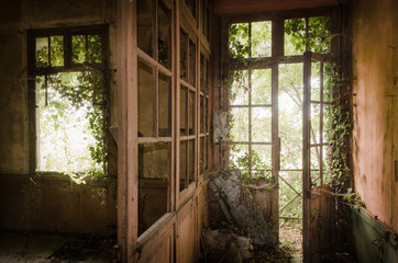 Wall Mural - un vestibule abandonné.  Une entrée de maison abandonnée. Une maison abandonnée avec la végétation envahissante.