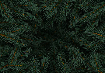 Wall Mural - Christmas tree branches. Festive Xmas border of green branch of pine. Pattern pine branches, spruce branch. Realistic design decoration elements. Vector illustration