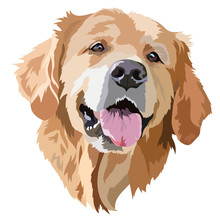 Golden Labrador Retriever Head Vector Illustration