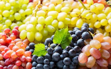 Wall Mural - colorful ripe grapes as background