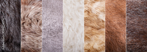collage of fur texture as background Tableau sur Toile