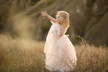 Portrait of a beautiful little princess girl in a pink dress. Posing in a field at sunset