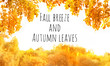 Fall breeze and Autumn leaves - inspiration quote. beautiful autumn yellow birch leaves. Fall abstract landscape with golden birch leaf. autumnal nature backdrop. soft selective focus