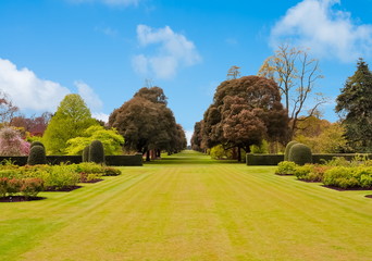 Wall Mural - Spring in Kew botanical garden, London, UK