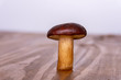 One mushroom on a wooden table and a white background. Copy space