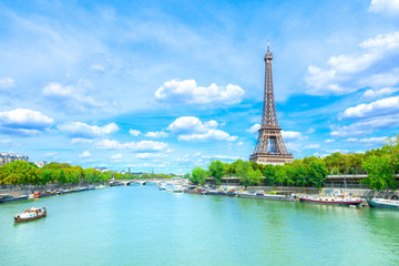 Wall Mural - view of paris with eiffel tower