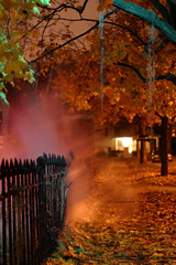 Wall Mural - Spooky Fall Foggy Sidewalk