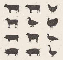 Animals Silhouettes Icons Set. Cow, Pig, Sheep, Lamb, Hen, Duck, Turkey, Bull. Vintage Farm Animals Silhouettes With Stamp Effect. Vector Illustration