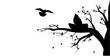 Branch silhouette silhouette nest illustration
