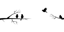 Flying Bird Branch Silhouette Illustration