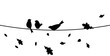Flying bird branch silhouette illustration