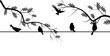 Flying bird branch silhouette line illustration