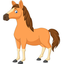 Cartoon Brown Horse Isolated On White Background