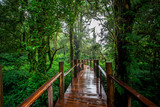 Fototapeta Perspektywa 3d - Close-up nature background, surrounded by big green trees, blurred mist of cold weather, wooden bridge to see the scenery while traveling, the beauty of the high mountain ecosystem