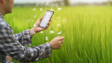 Agriculture technology farmer man using smartphone analysis data and visual icon.