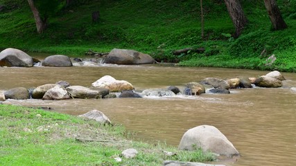 Canvas Print - 4K time lapse video of water flowing in Mae Tahkrai national park, Thailand.