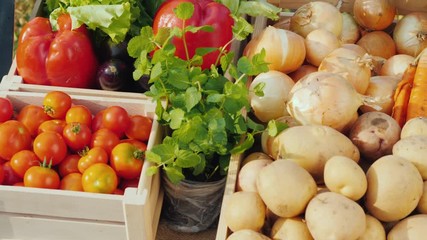 Wall Mural - Pan shot of Counter with fresh vegetables