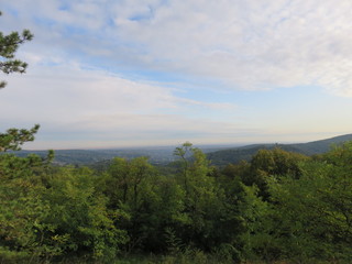 green panorama viewed from the mountain top