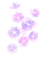  淡い青紫の花　水彩イラスト