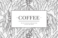 Coffee Vector Design Template. Vintage Coffee Background. Hand Drawn Engraved Style Illustration.
