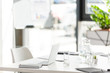 © LIGHTFIELD STUDIOS - office with table, chair, green plant and digital device