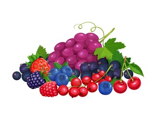 Sticker - ripe berries banner