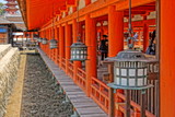 Fototapeta Uliczki - torii gate in myajima japan