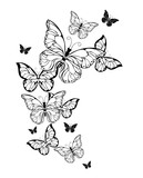 Fototapeta  - Flight of contour butterflies