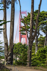 Wall Mural - View of Golden Gate Bridge framed by trees at Presidio Park.