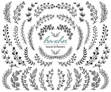 Big set of hand drawn vector plants and branches with leaves, flowers, berries. Floral sketch collection.