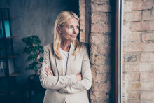 Portrait Of Dreamy Thoughtful Middle Aged Businesswoman Cross Her Hands Look In Window Think About Her Start-up Future Seminars For Workers Wear Stylish Jacket Stand Brick Wall In Office Company