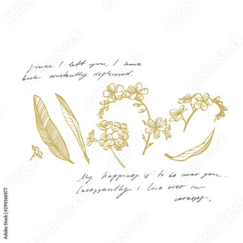 Forget-me-not flowers. Botanical illustration. Good for cosmetics, medicine, ...